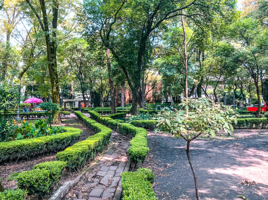 plants and trees line a brick walkway in Parque Mexico, Mexico City