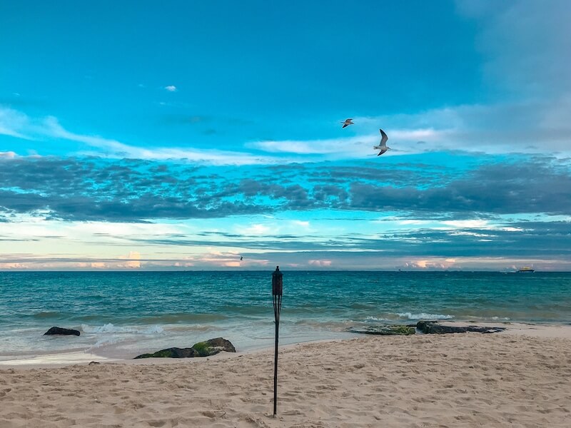 looking across the beach at the horizon over the water at sunset in Playa del Carmen